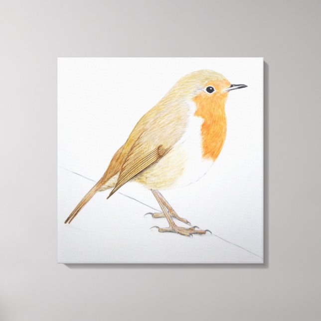 Robin 2011 canvas print (Front)