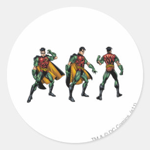Robin - All Sides Classic Round Sticker
