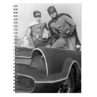 Robin and Batman Standing in Batmobile