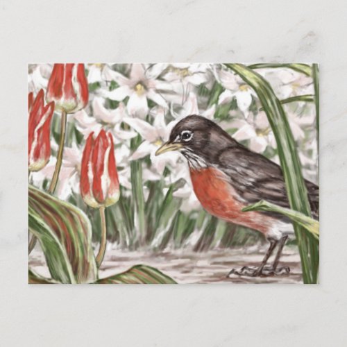 Robin and Red Tulips Spring Flowers Painting Postcard