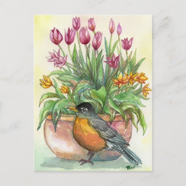 Robin and Tulips Postcard (Front)