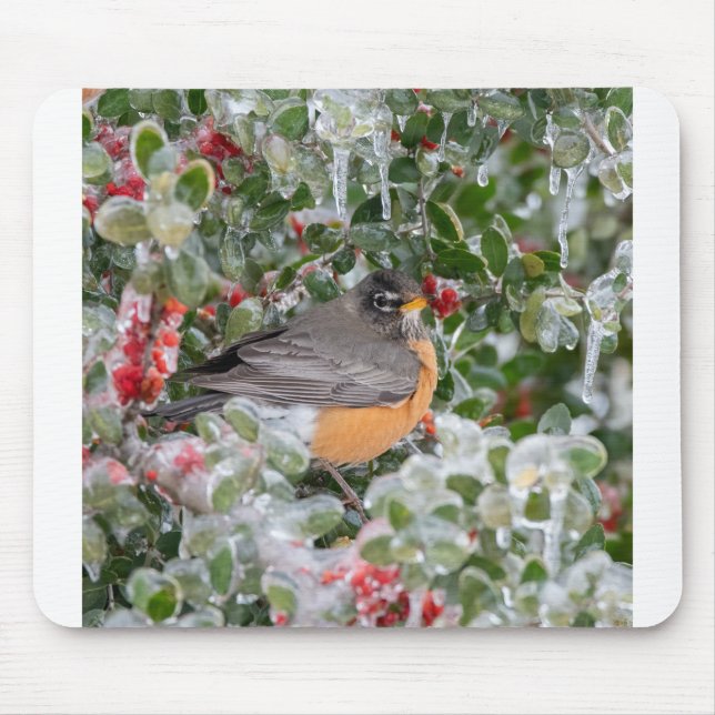 Robin at Christmas Mouse Pad (Front)