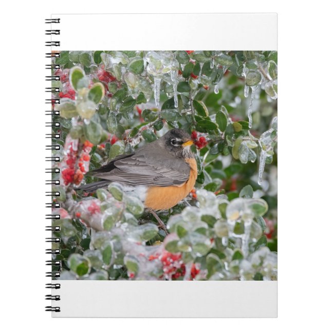 Robin at Christmas Notebook (Front)