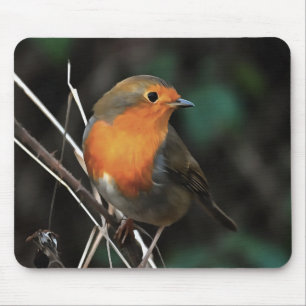 Robin Being Bright On A Dull Day Acrylic Art Mouse Pad