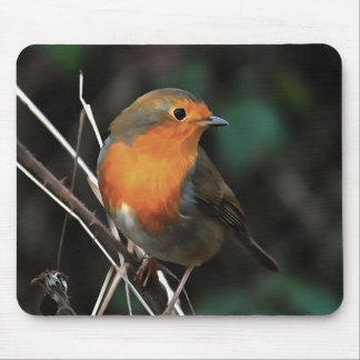 Robin Being Bright On A Dull Day Acrylic Art Mouse Pad