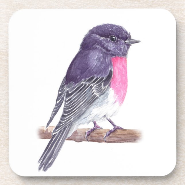 Robin Beverage Coaster (Front)