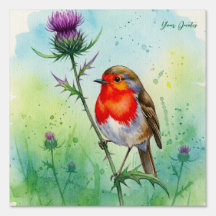 Robin Bird and Thistle Flower Botanical Watercolor