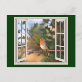 Robin Bird At Window Holiday Postcard by santasgrotto at Zazzle