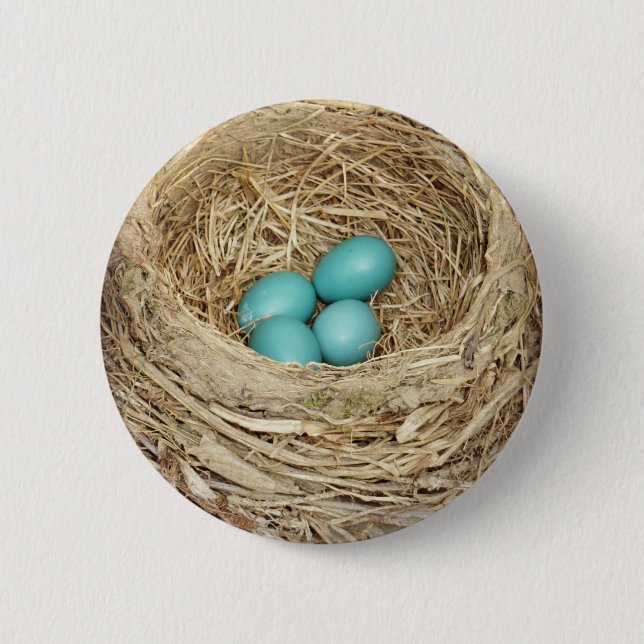 Robin Bird Egg Nest Button (Front)