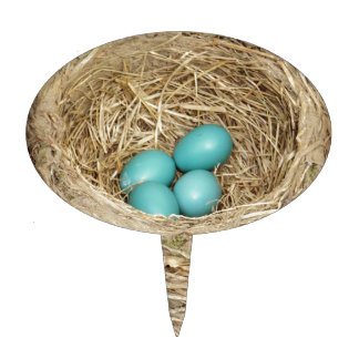 Robin Bird Egg Nest Cake Topper