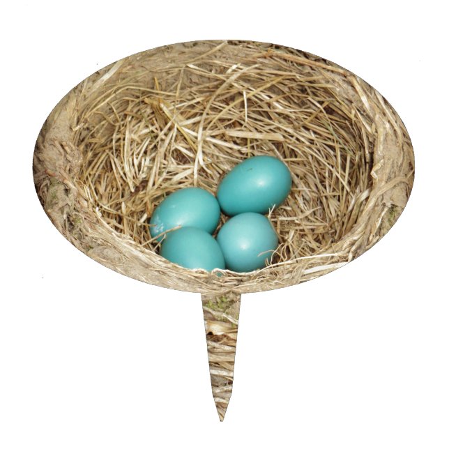 Robin Bird Egg Nest Cake Topper (Front)