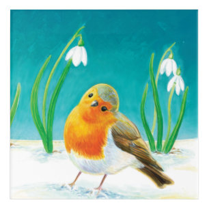 Robin Bird - Erithacus rubecula Acrylic Print