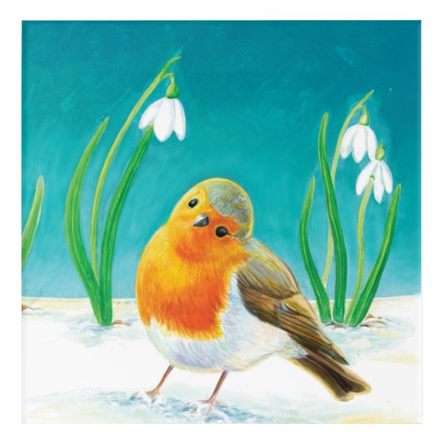 Robin Bird - Erithacus rubecula Acrylic Print (Front)