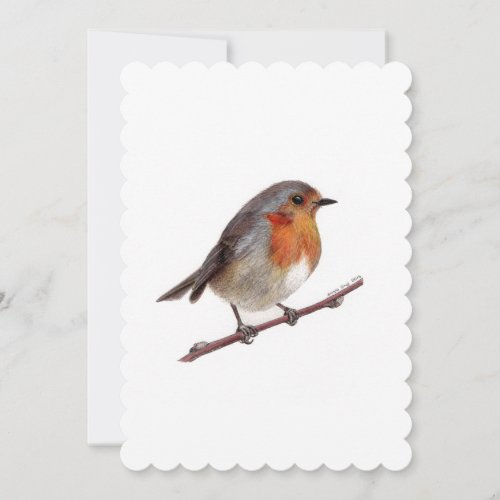Robin Bird Erithacus Rubecula Gift Card