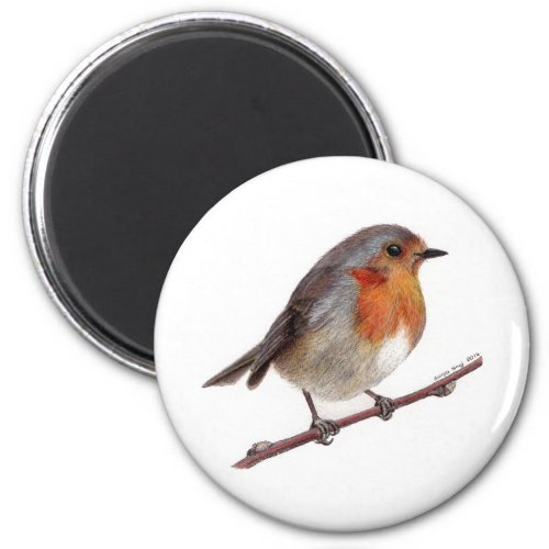 Robin Bird Erithacus Rubecula Magnet