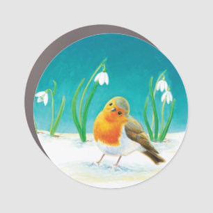 Robin Bird (Erithacus rubecula) & White Snowdrops Car Magnet