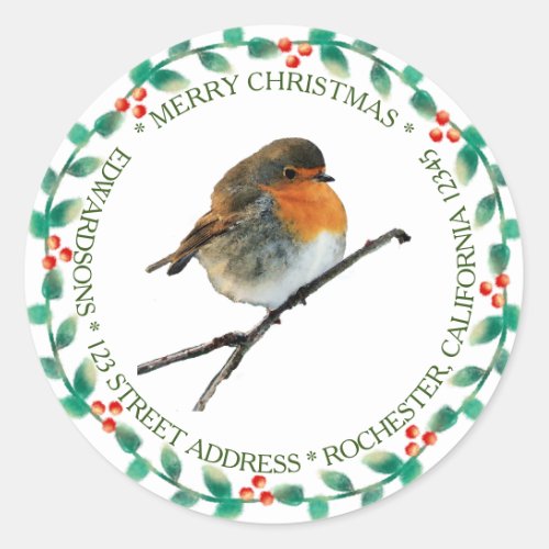 Robin bird family name Merry Christmas Classic Round Sticker
