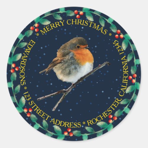 Robin bird family name Merry Christmas holly Classic Round Sticker
