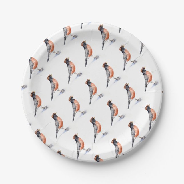 Robin Bird in Hat Paper Plates (Front)