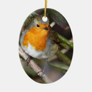 Robin Bird In Tree Ceramic Ornament