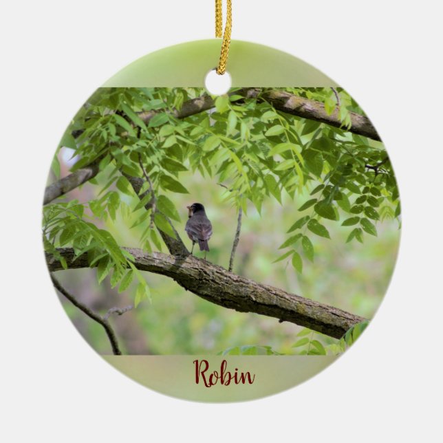 Robin Bird in Tree Ceramic Ornament (Front)