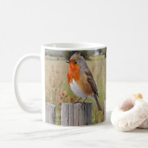 Robin Bird Mug