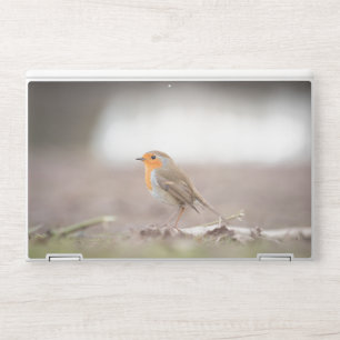 Robin Bird Nature Photo HP Laptop Skin