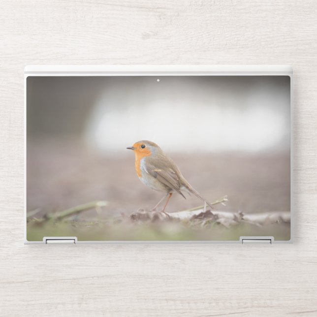Robin Bird Nature Photo HP Laptop Skin (Front)