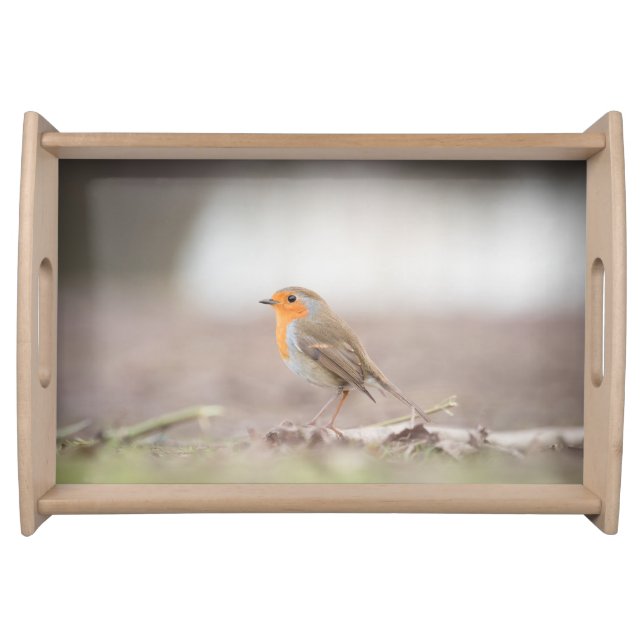 Robin Bird Nature Photo Serving Tray (Front)