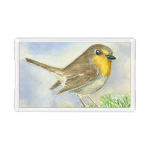 Robin bird on a frosted juniper branch acrylic tray