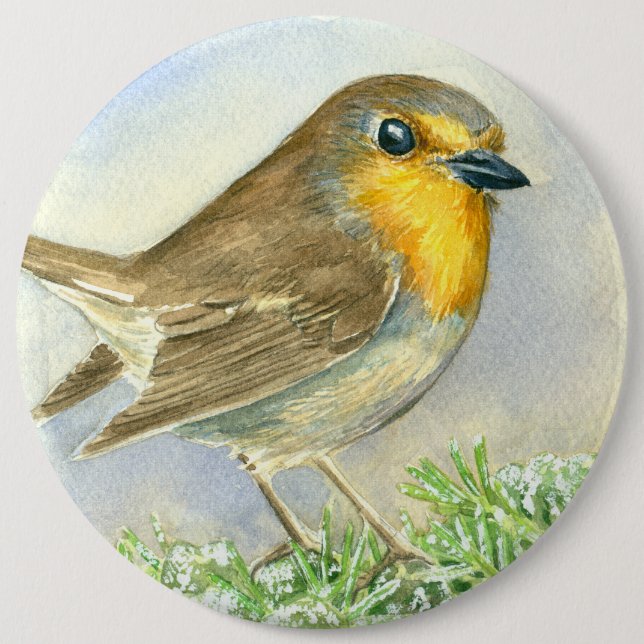 Robin bird on a frosted juniper branch button (Front)