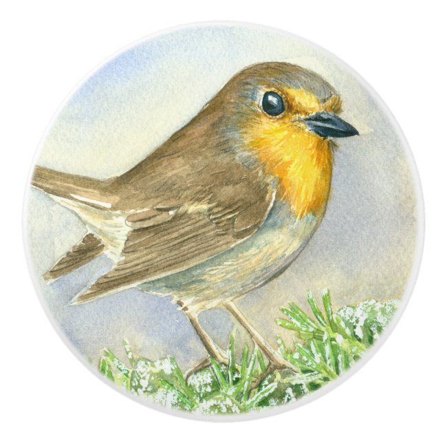 Robin bird on a frosted juniper branch ceramic knob (Front)