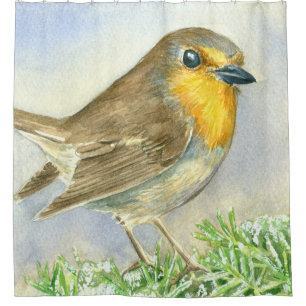 Robin bird on a frosted juniper branch shower curtain