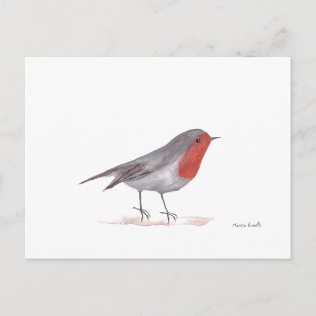 Robin bird postcard (Front)