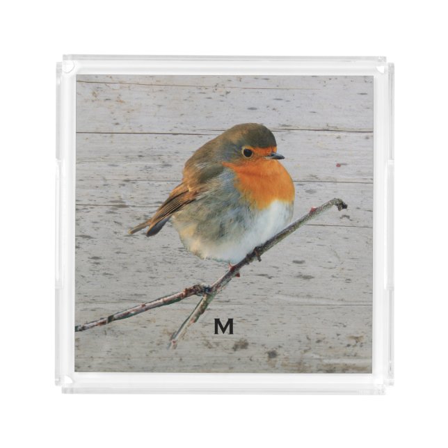 Robin bird redbreast wood monogrammed acrylic tray (Front)