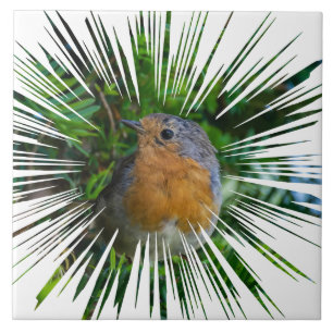 Robin bird view ceramic tile