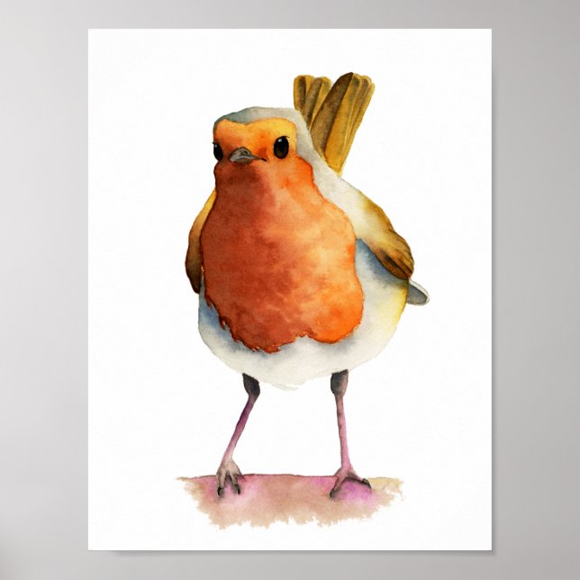 Robin Bird Watercolor Painting Poster (Front)