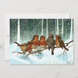 Robin Birds on Branch Snow Forest Winter Christmas Holiday Card