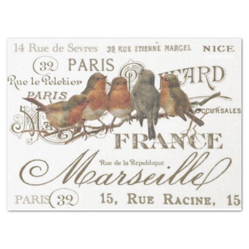 Robin Birds Vintage French City Names Decoupage Tissue Paper