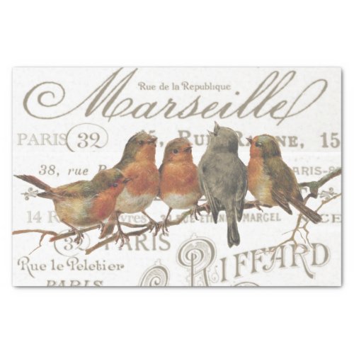 Robin Birds Vintage French City Names Tissue Paper