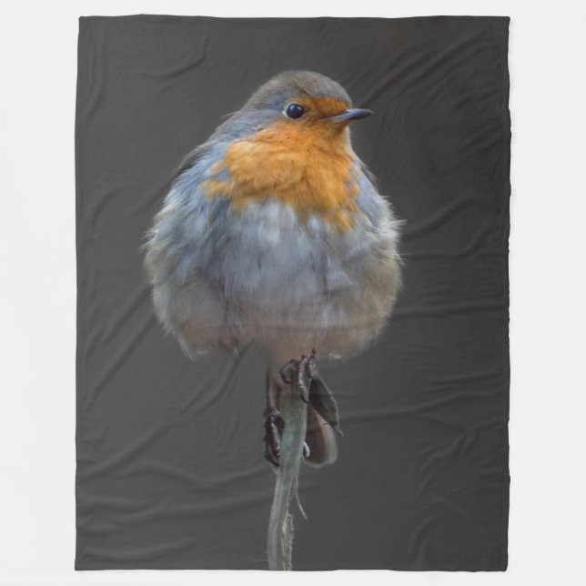Robin Blanket (Front)
