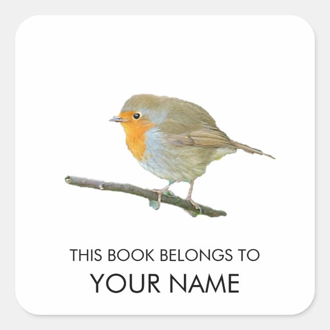 Robin Book Sticker (Front)