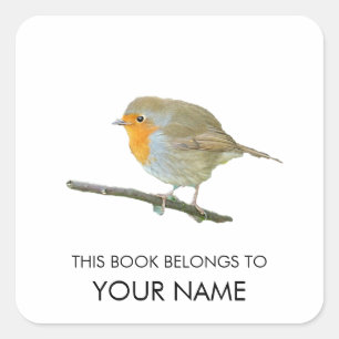 Robin Book Sticker