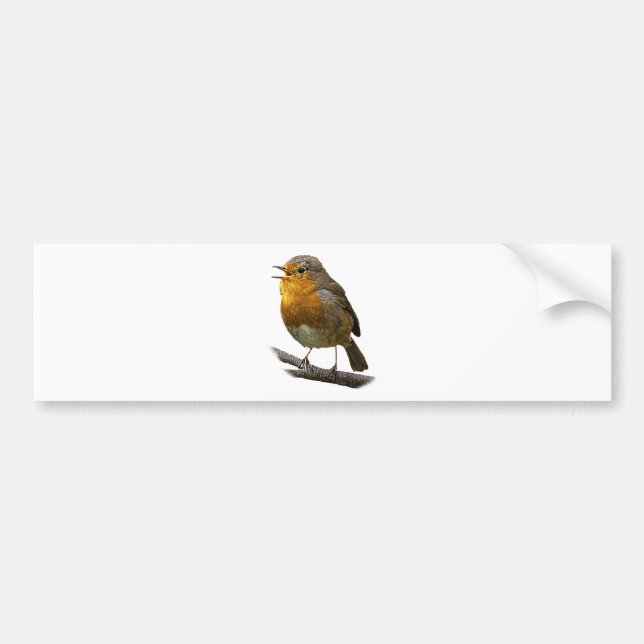 Robin Bumper Sticker (Front)