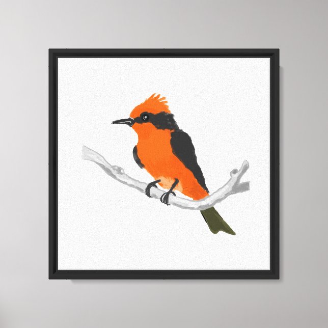 Robin Canvas Print (Front)