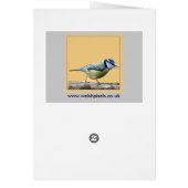 Robin Card (Back)