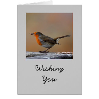 Robin Card