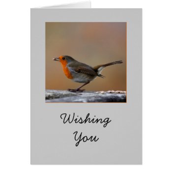 Robin Card by Welshpixels at Zazzle