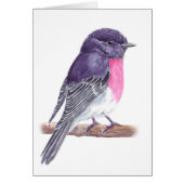 Robin Cards (Front)