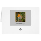 Robin Cards (Back Horizontal)